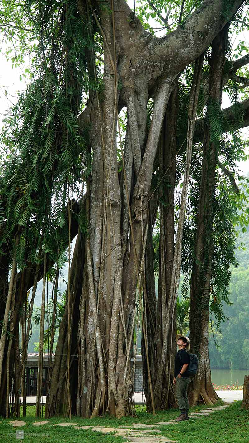 thung nham bird park vietnam